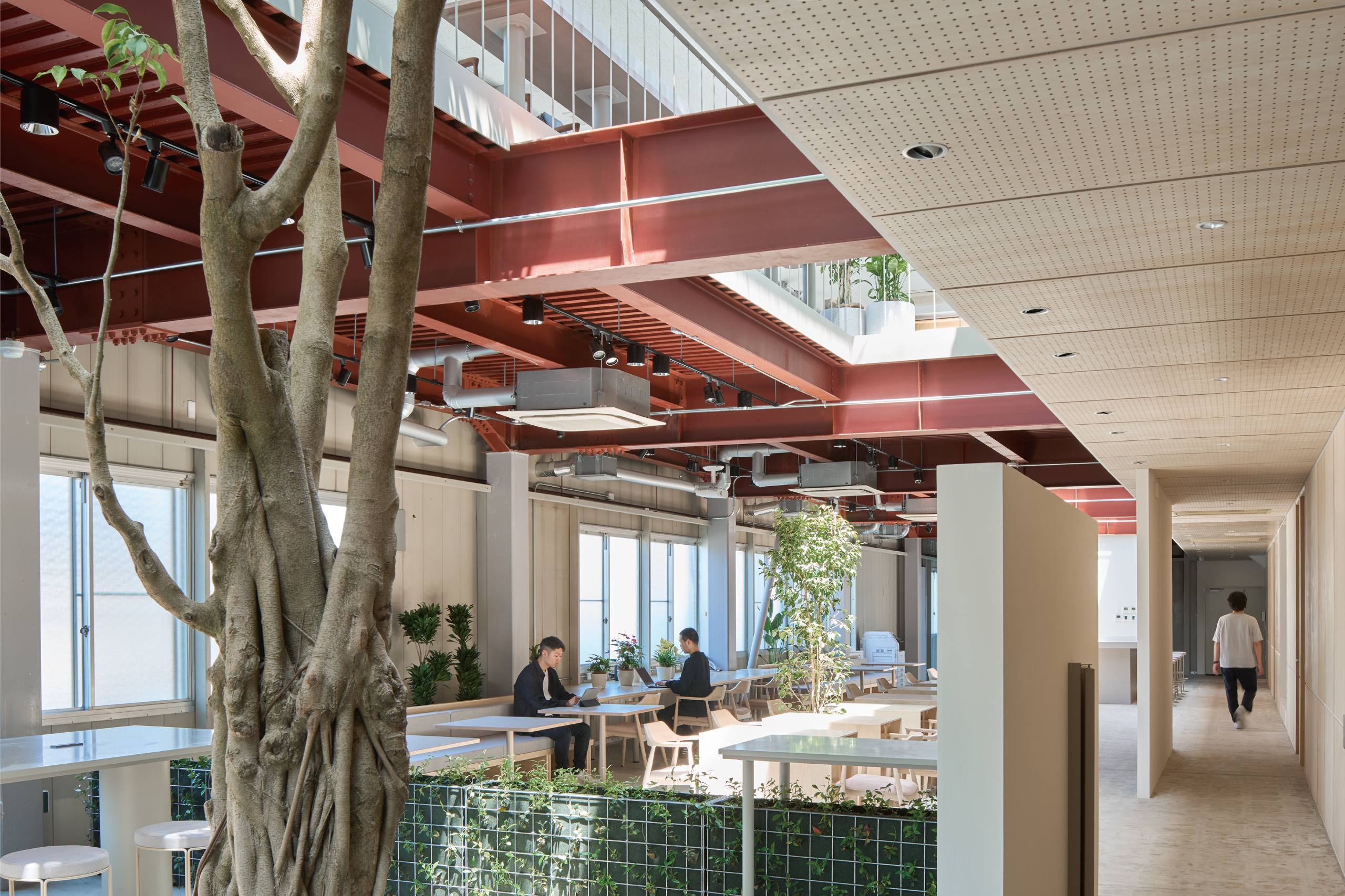 画像:北岡組本社建築改修 / Renovation of KITAOKA GROUP headquarters