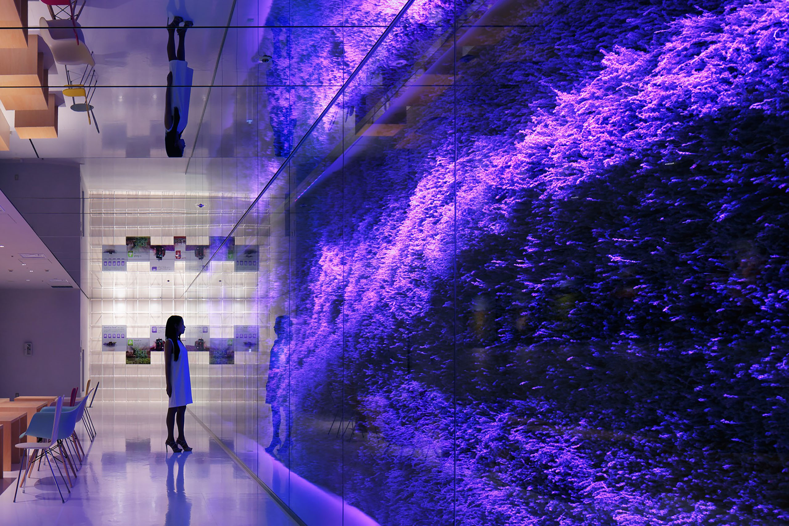 画像:Young Living Japan Shop & Office