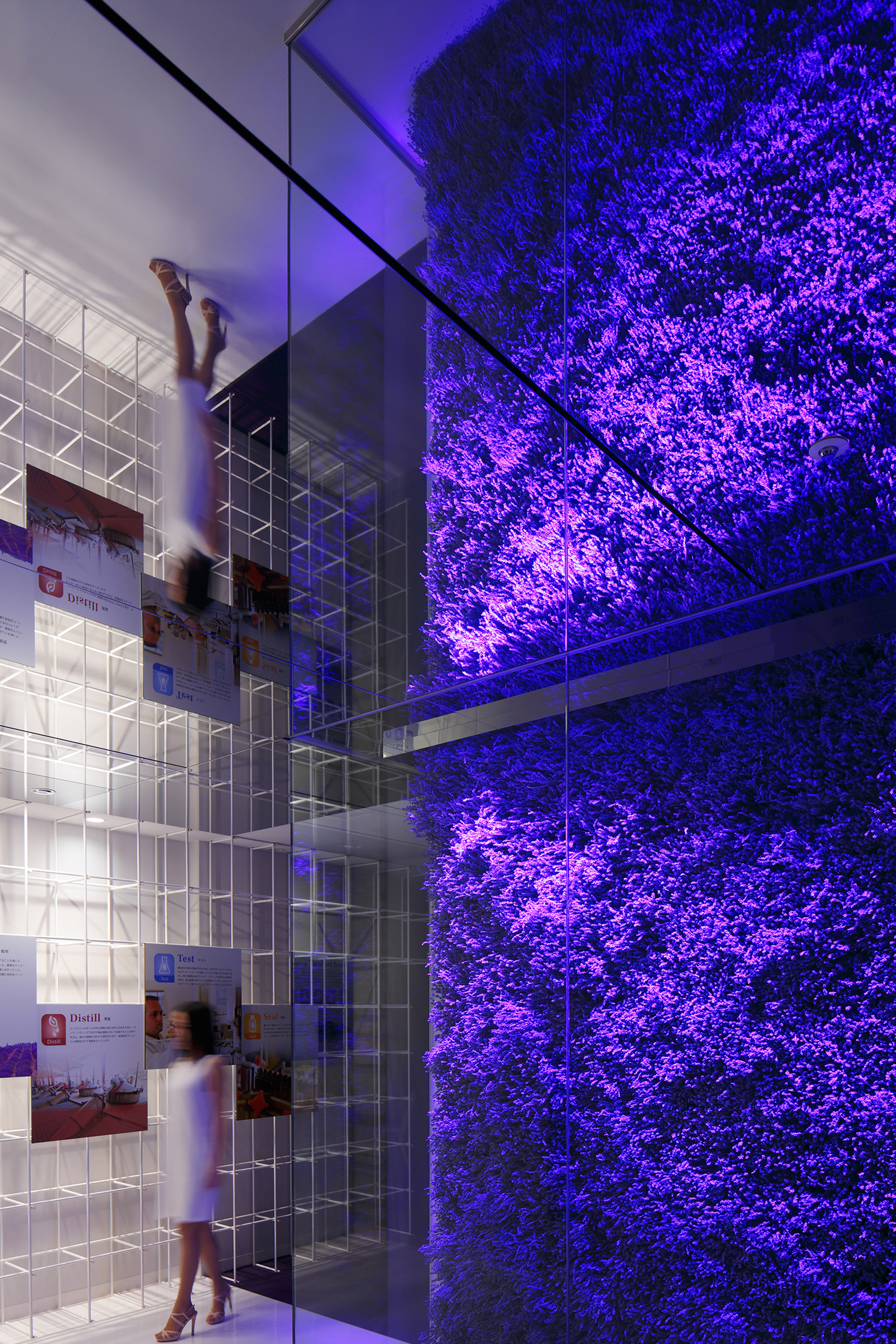 画像:Young Living Japan Shop & Showroom