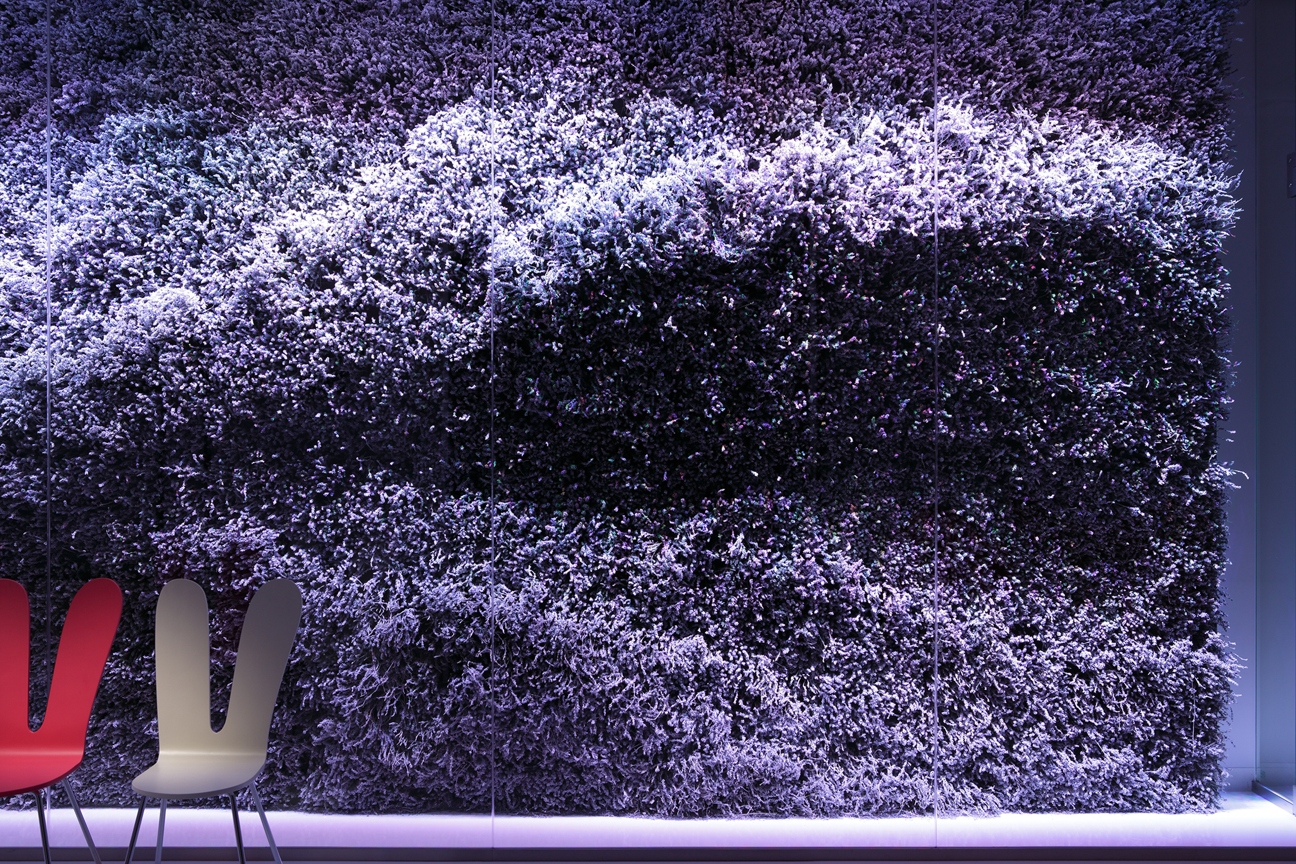 画像:Young Living Japan Shop & Showroom