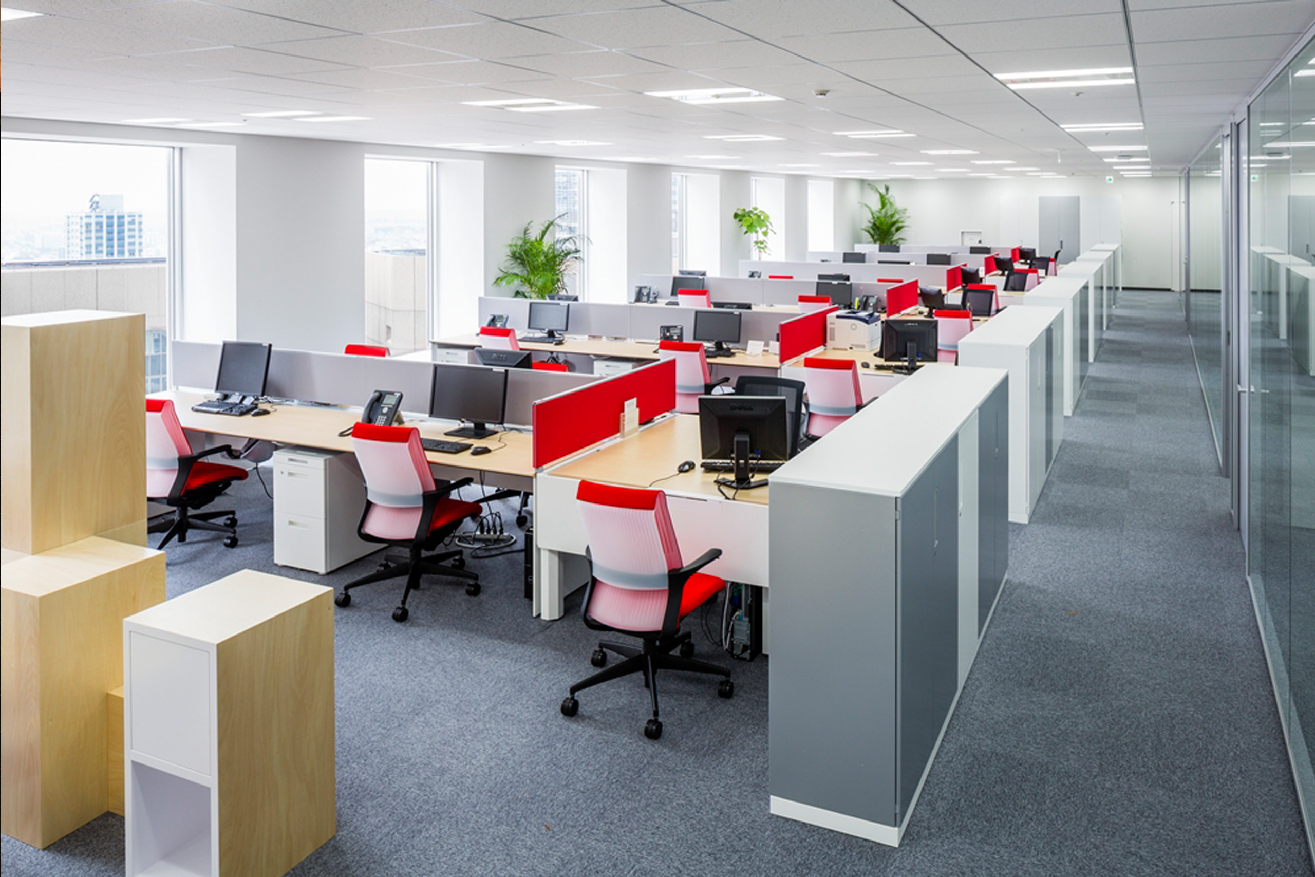 画像:Young Living Japan Shop & Office